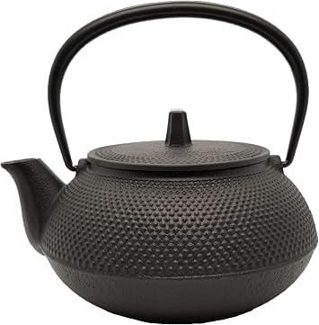 12802 No enamel hail new type 5 Southern Iron teapot