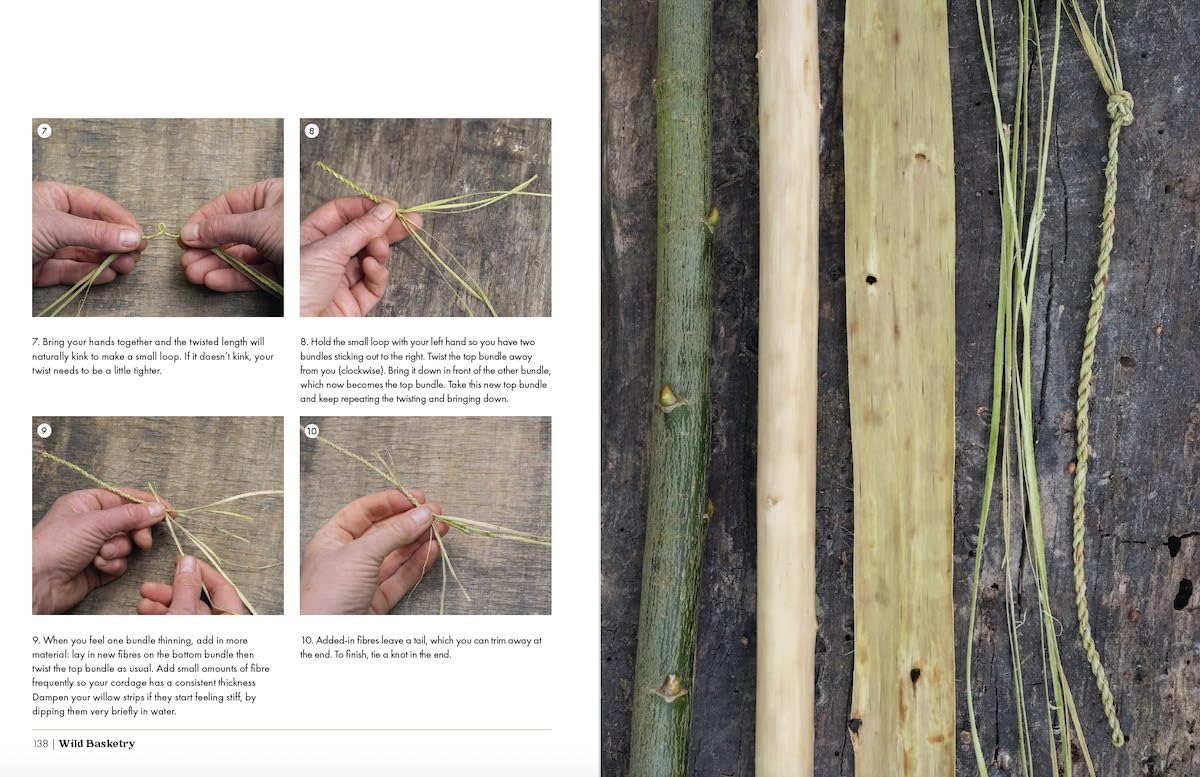 Wild Basketry: Making baskets and natural cordage from foraged plants