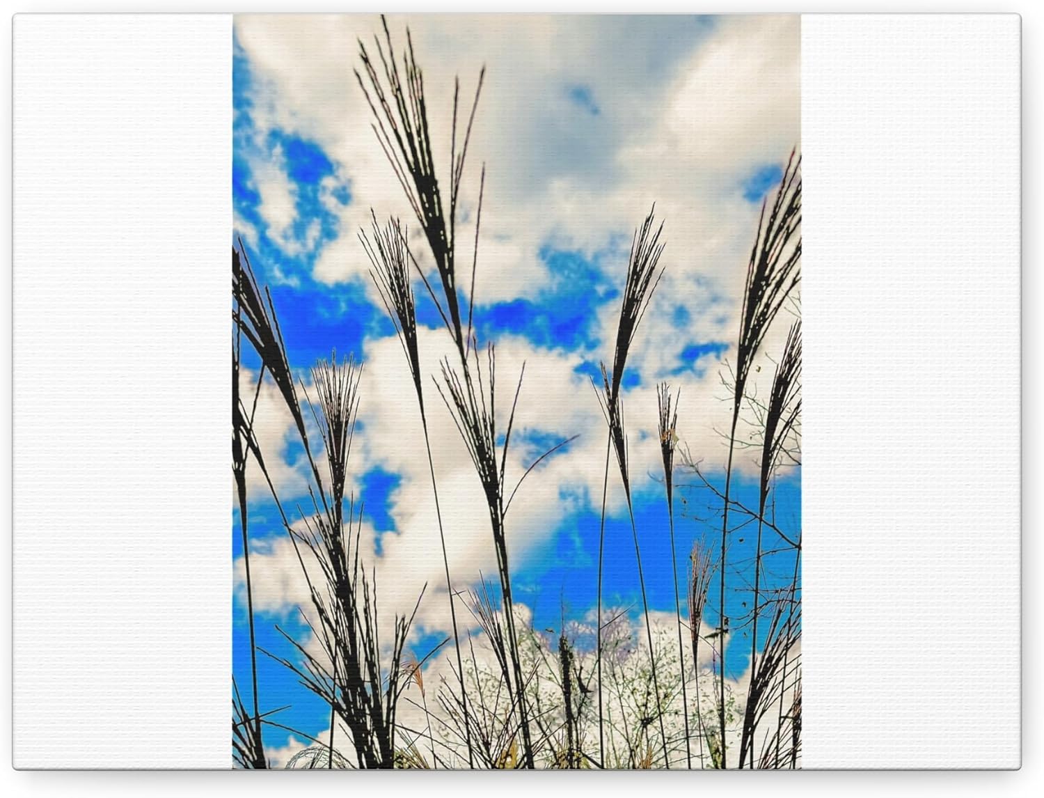 Canvas Print, Grasses in the Sky Wall Art, Stretched Matte