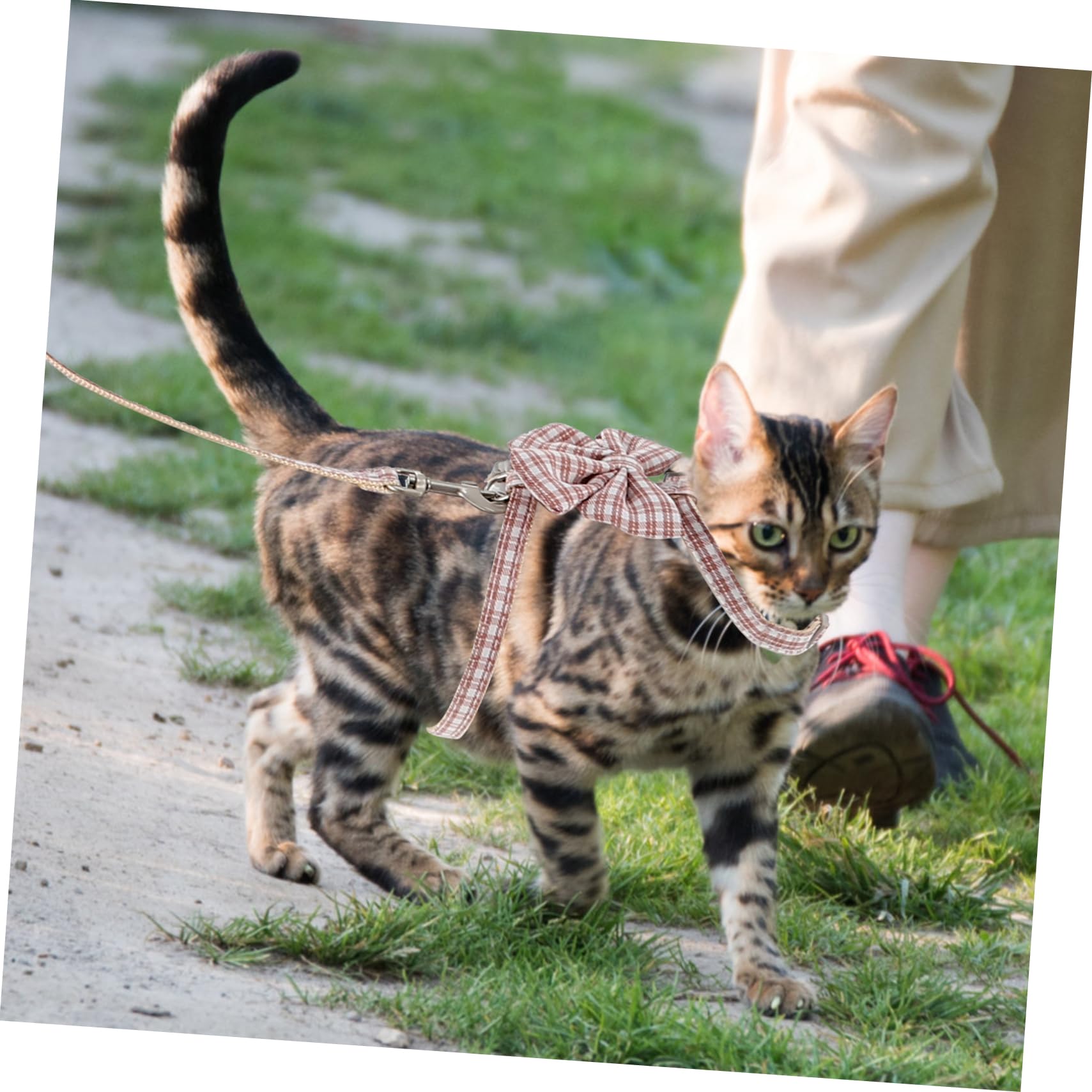 Sosoport 4sätze Einstellbares Katzengeschirr Mit Zugleine Für Außenbereich Sicher Und Bequem Für Kleine Katzen Geeignet Für Leicht Und Tragbar Aus Verschleißfestem Material