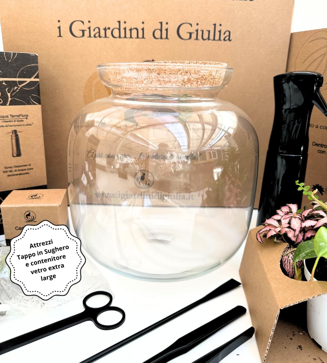 Kit Terrarium Fai Da Te Master: Contenitore in Vetro, 26 cm Circonferenza, 27 cm Altezza, Tappo in Sughero