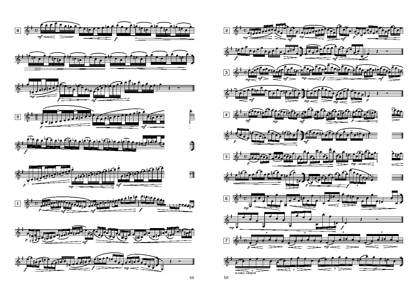 Settimi Aldo ESERCIZI PER CLARINETTO di Tecnica giornaliera in tutti i Toni Maggiori e Minori - Studi sulle Scale ed Intervalli
