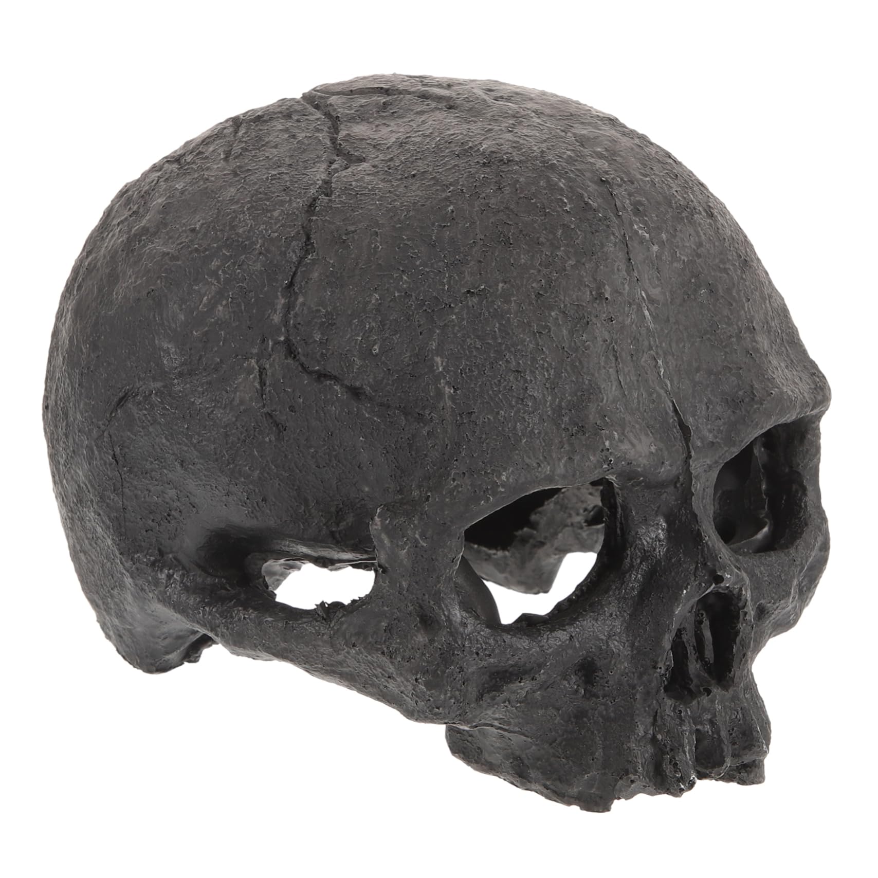 Cabilock 5 Pezzi Nascondiglio di Pesci Sott'Acqua per Nascondiglio Dell'acquario Nascondersi Vasca Dell'acquario Decorazione Pescare Scheletro Arredamento Grotta Acquario Resina Black