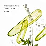 Touchland Hand Sanitizer Spray, 1 FL OZ - Lily of the Valley