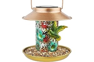 Solar Bird Feeder: Outdoor Oasis for Wild Birds