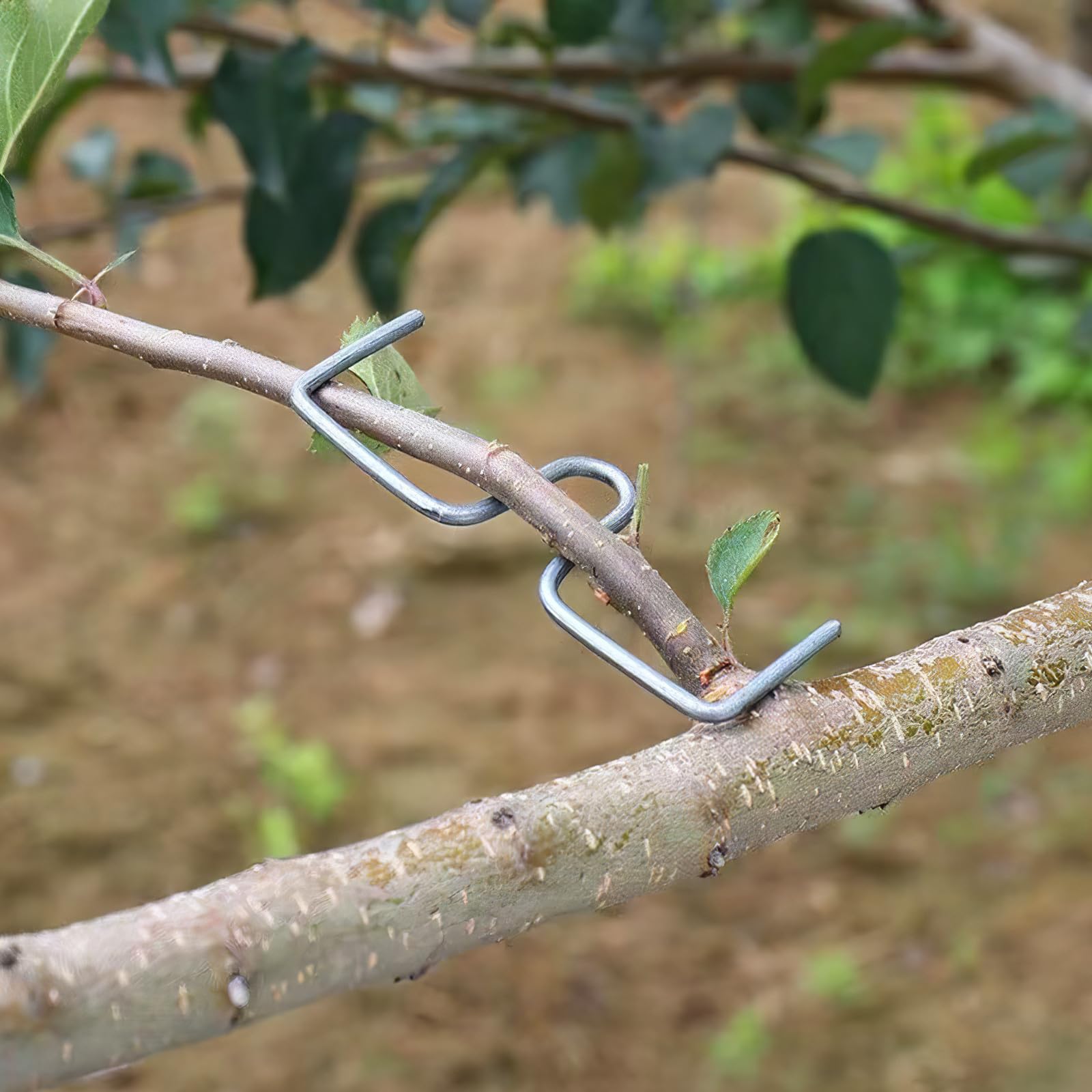 U-förmige Astzieher 1 Satz aus Kaltverzinktem Draht für Bonsai