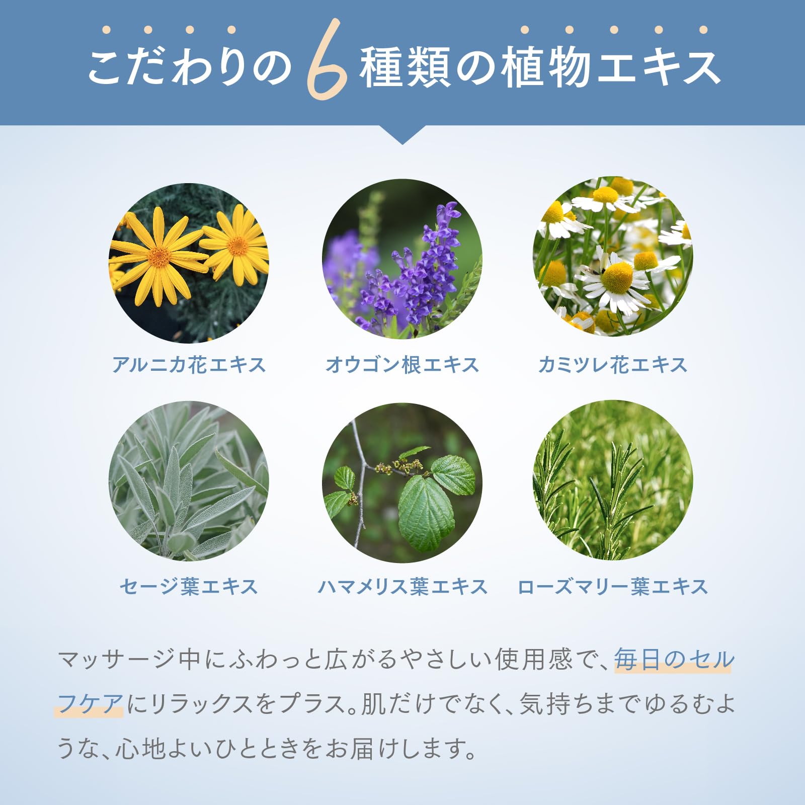 Amazon.co.jp: MSMクリーム/日本製 140g : ビューティー