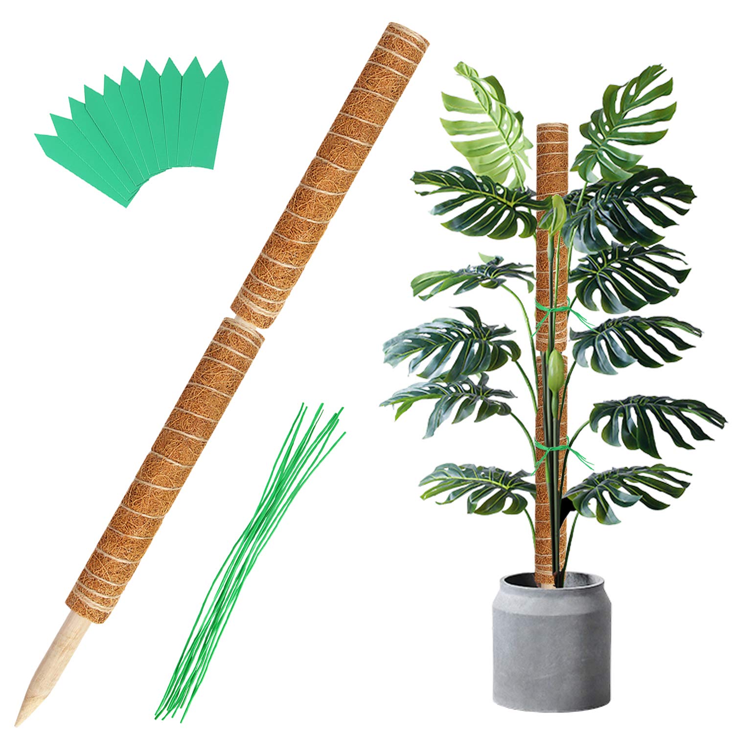 Augshy 2 Pcs 16 Inches Coir Totem Pole Moss Sticks for Indoor Plants Climbing, Plant Totem for Plant Support Extension, Creepers, with 10 Pcs Plant Labels and 10 Pcs Twist Ties