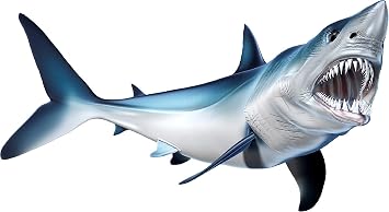 Mako Shark Beautiful Fish Decal | Fishing Decal for Boat, Car, Vehicle, Truck Etc. | Waterproof Vinyl Sticker | Many Sizes & Styles Available | 12" to 40" by Digital Fish Art X-Large, Position 3