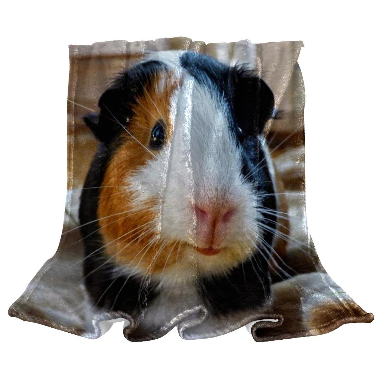 Couverture polaire de literie cochon d'inde plaid canapé et chambre