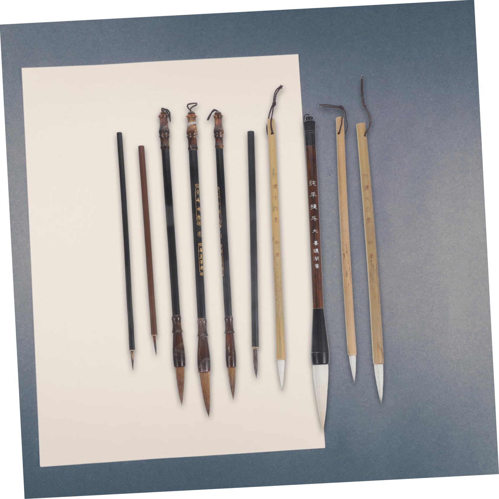 Angoily 1Set Traditional Calligraphy Brush Set Painting Kit for Beginners Includes Calligraphy Pens for Art for Artists and Enthusiasts