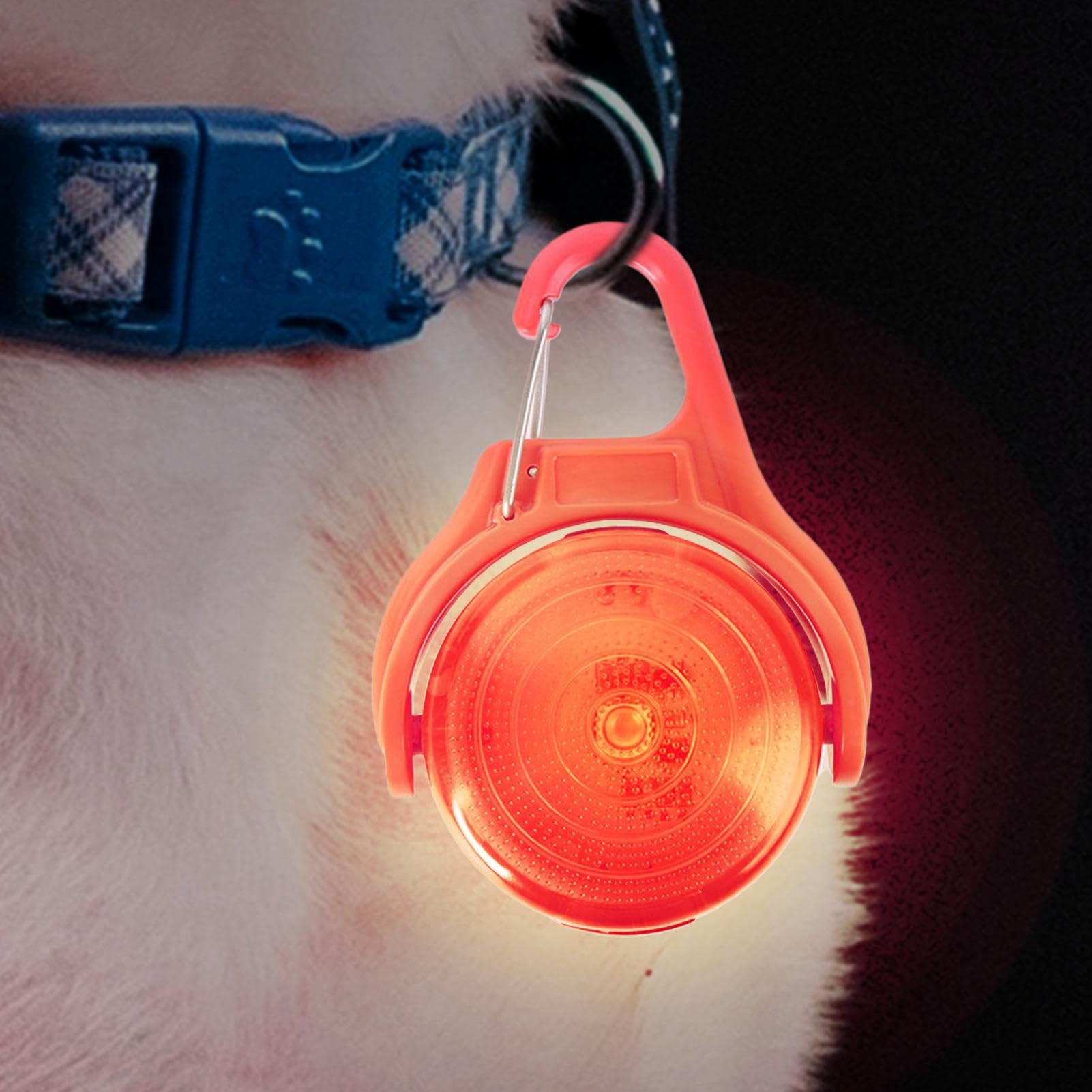 Lampada da passeggio per cani ricaricabile,luci per collare per cani | Luce per collare per animali ricaricabile tramite USB - Torcia per cani multiuso per alpinismo, guida notturna, corsa notturna e