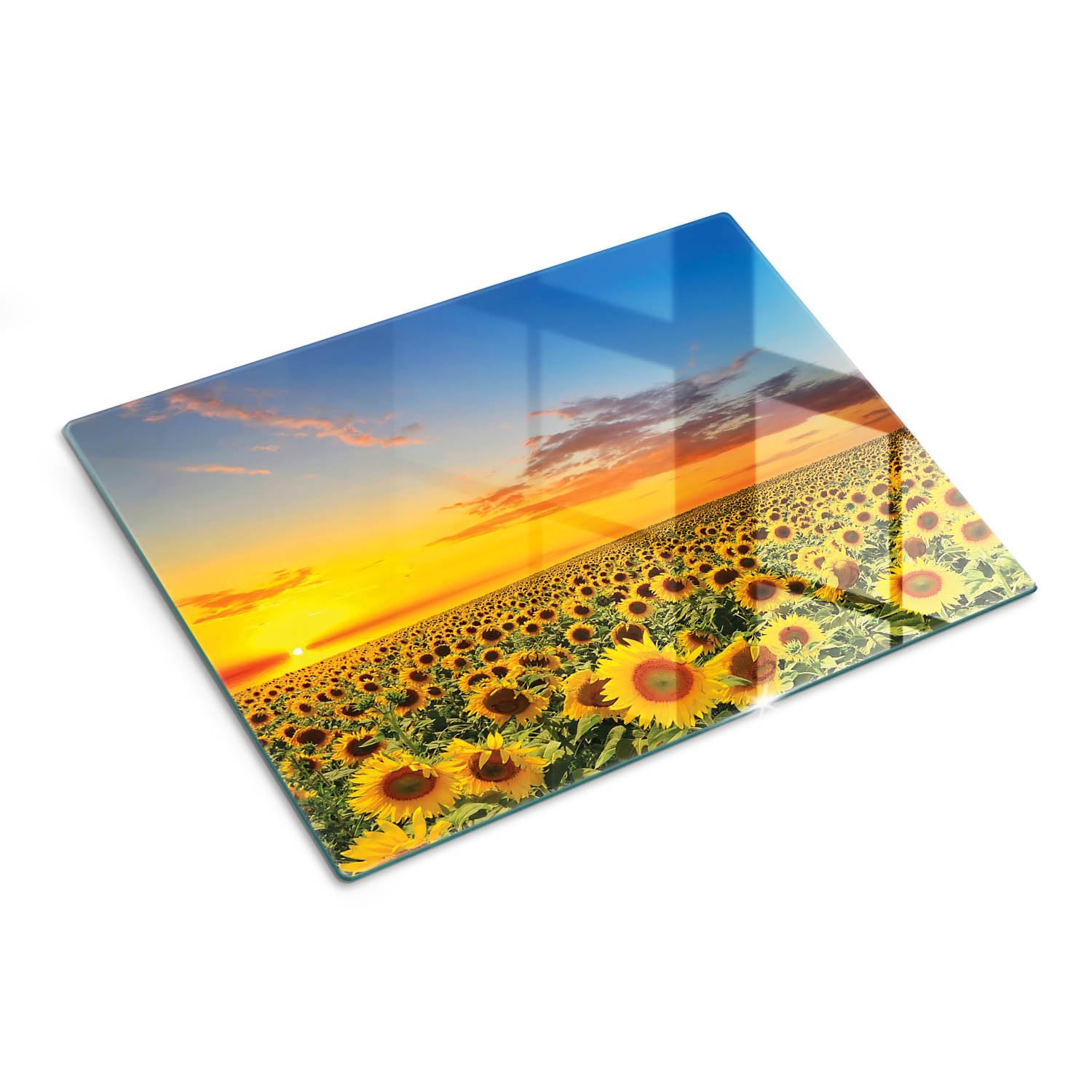 Tabla de cortar y placa de protección de vidrio 40x30 cm Campo de girasoles