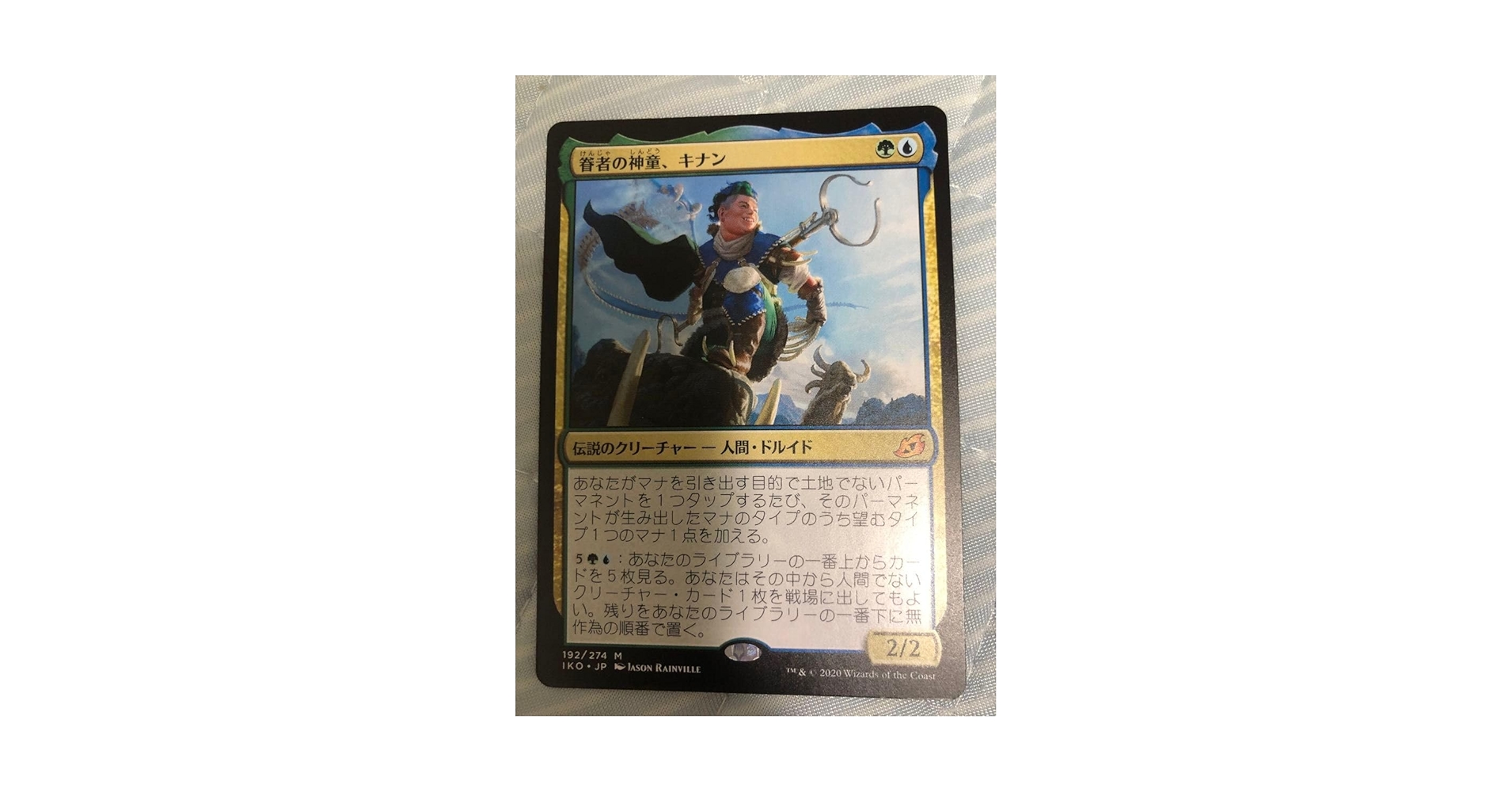 Amazon.co.jp: MTG 192 《眷者の神童、キナン Kinnan, Bonder