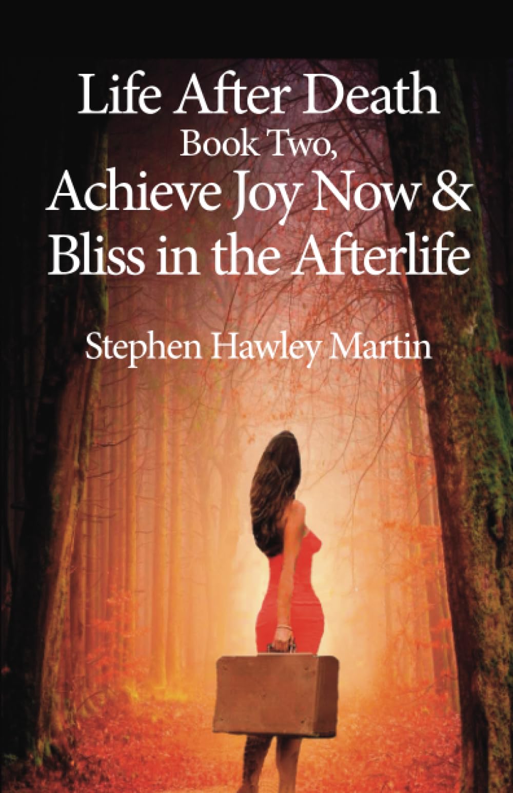 Life After Death Book Two, Achieve Joy Now & Bliss in the Afterlife