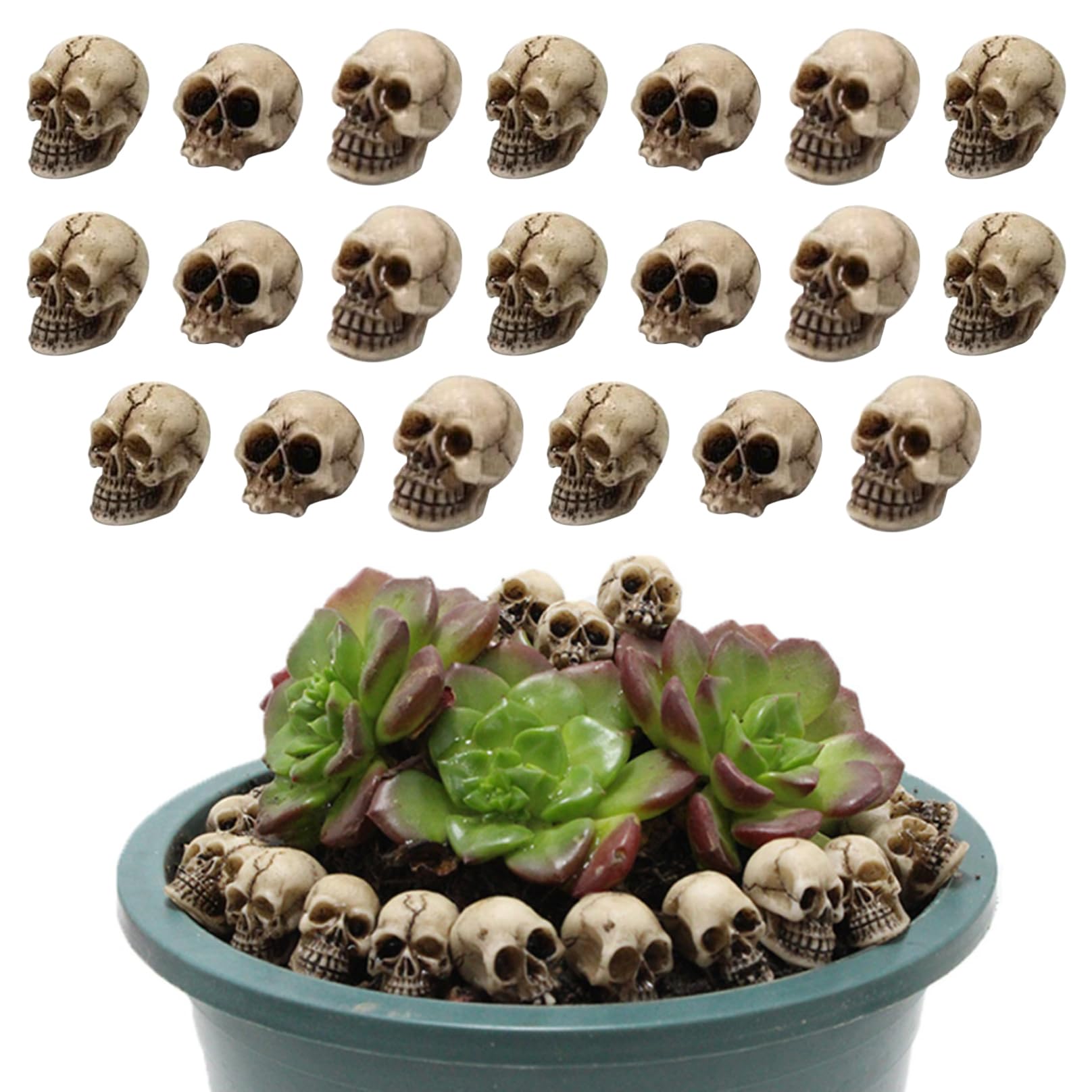 Veesper 20Pcs Halloween Mini Skeleton 20 Pack 0.39X0.39x0.71 Inch Resin Mini Skulls Realistic Waterproof Skull Figurines For Garden Pots, Diy Crafts, Table Decor, And Halloween Party