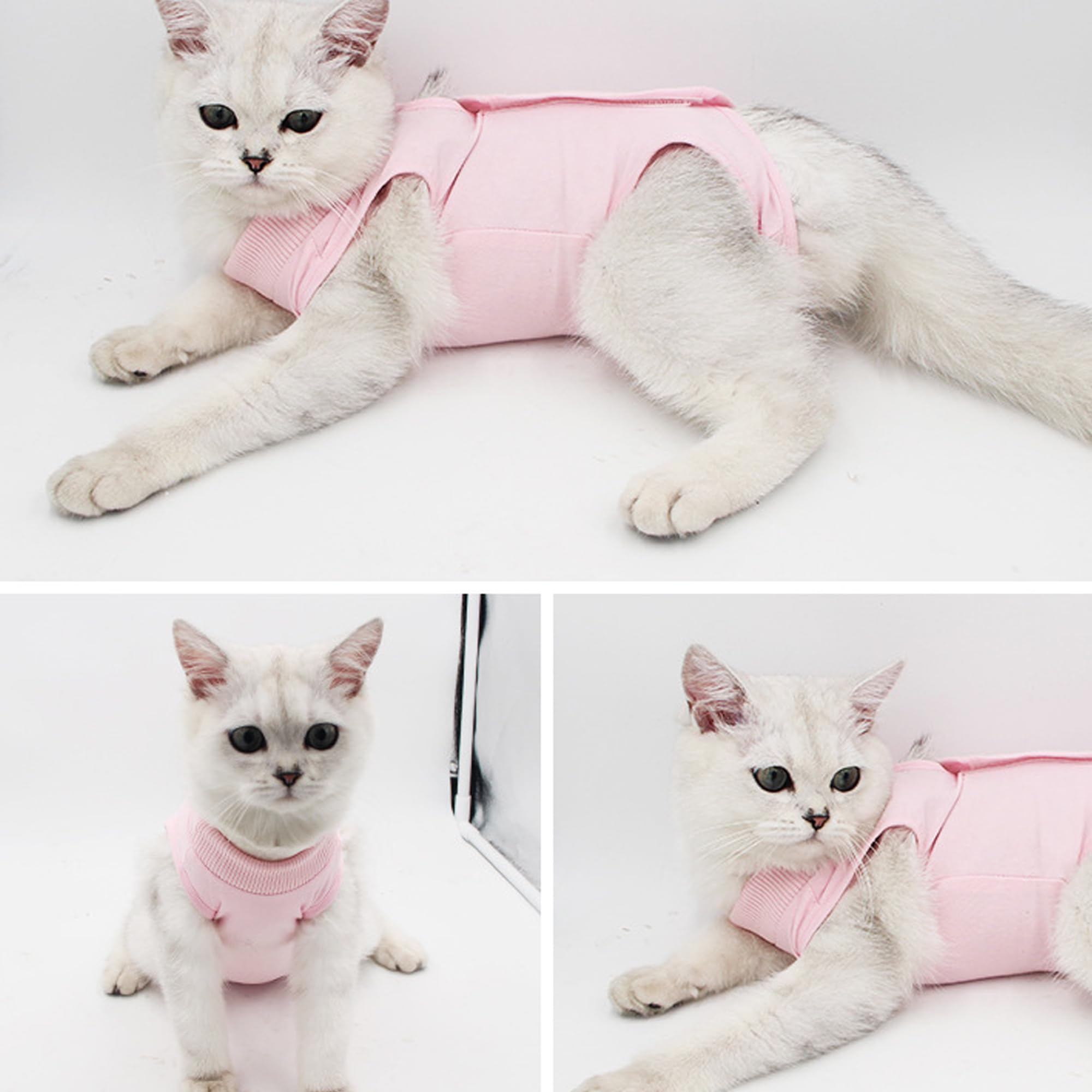 M 2.5-3.5kg Cat Professionnel Restauration Convient pour abdominaux Collerette des plaies ou des Maladies de la Peau, Gilet Chat Anti lechage, après la Chirurgie Porter (Rose)
