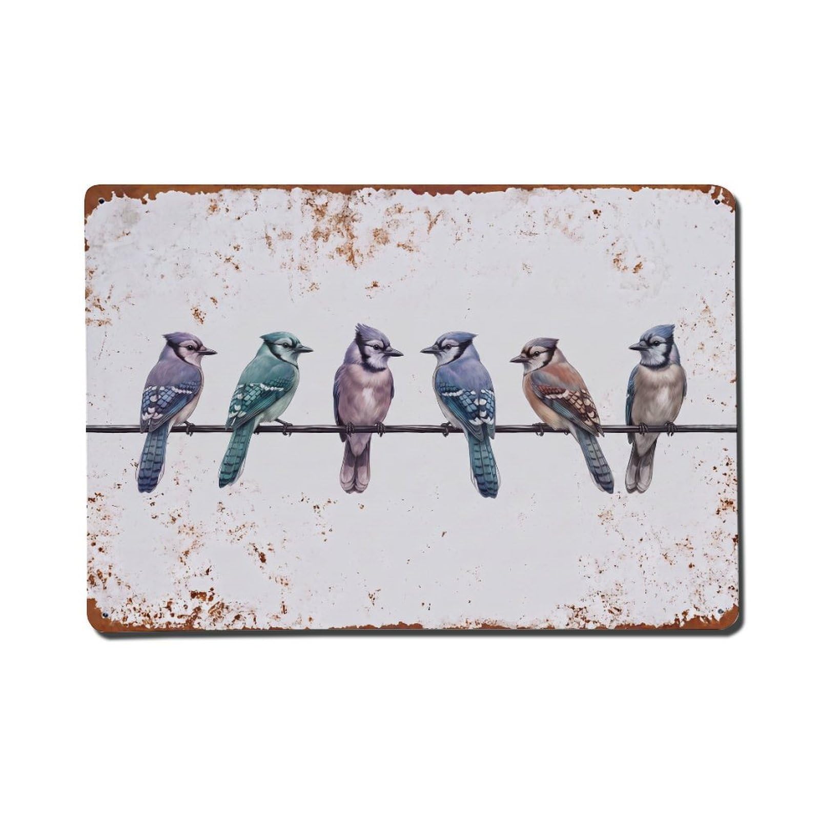 Vintage Retro Birds Blue Jay Metal Tin Sign