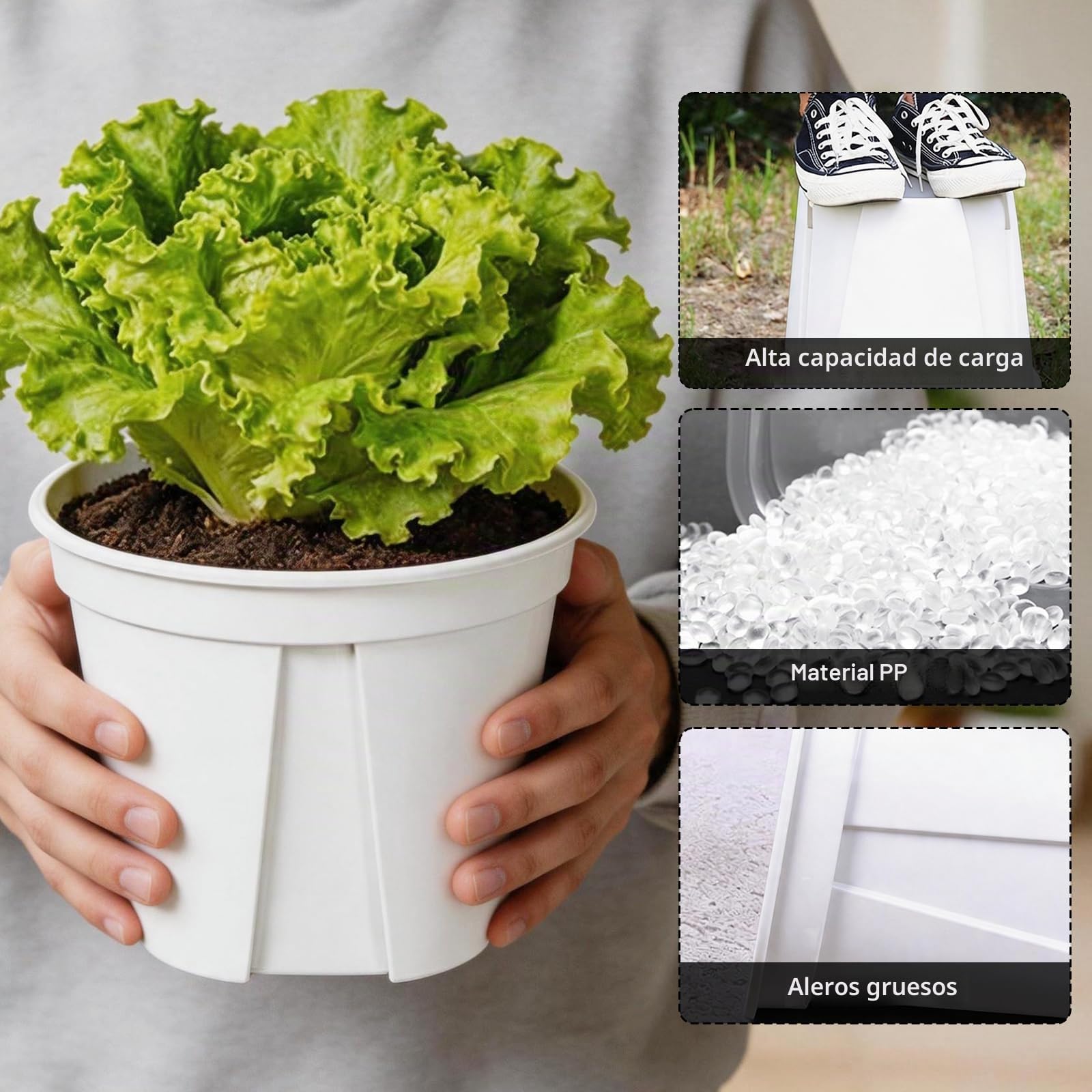 Kit de Plantación, Mini Invernadero con Seis Macetas Pequeñas y Lámpara para Plantas Invernadero de Jardín de PVC de 60 x 40 x 50 cm Cubierta Aislante Transparente para Plantas para Jardín y Balcón