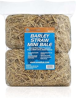 Swell Barley Straw Mini 2 pack. Barley Straw for Ponds to act as Pond Cleaner and Algae Treatment