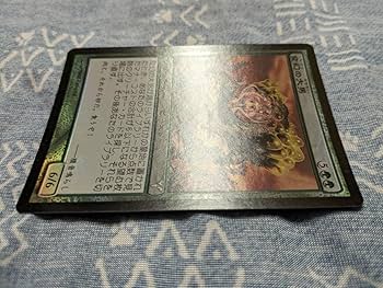 Amazon.co.jp: MTG Foil 日 変幻の大男 Protean Hulk [DIS] : おもちゃ