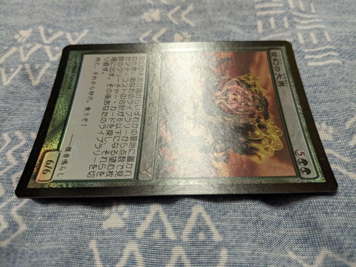 Amazon.co.jp: MTG Foil 日 変幻の大男 Protean Hulk [DIS