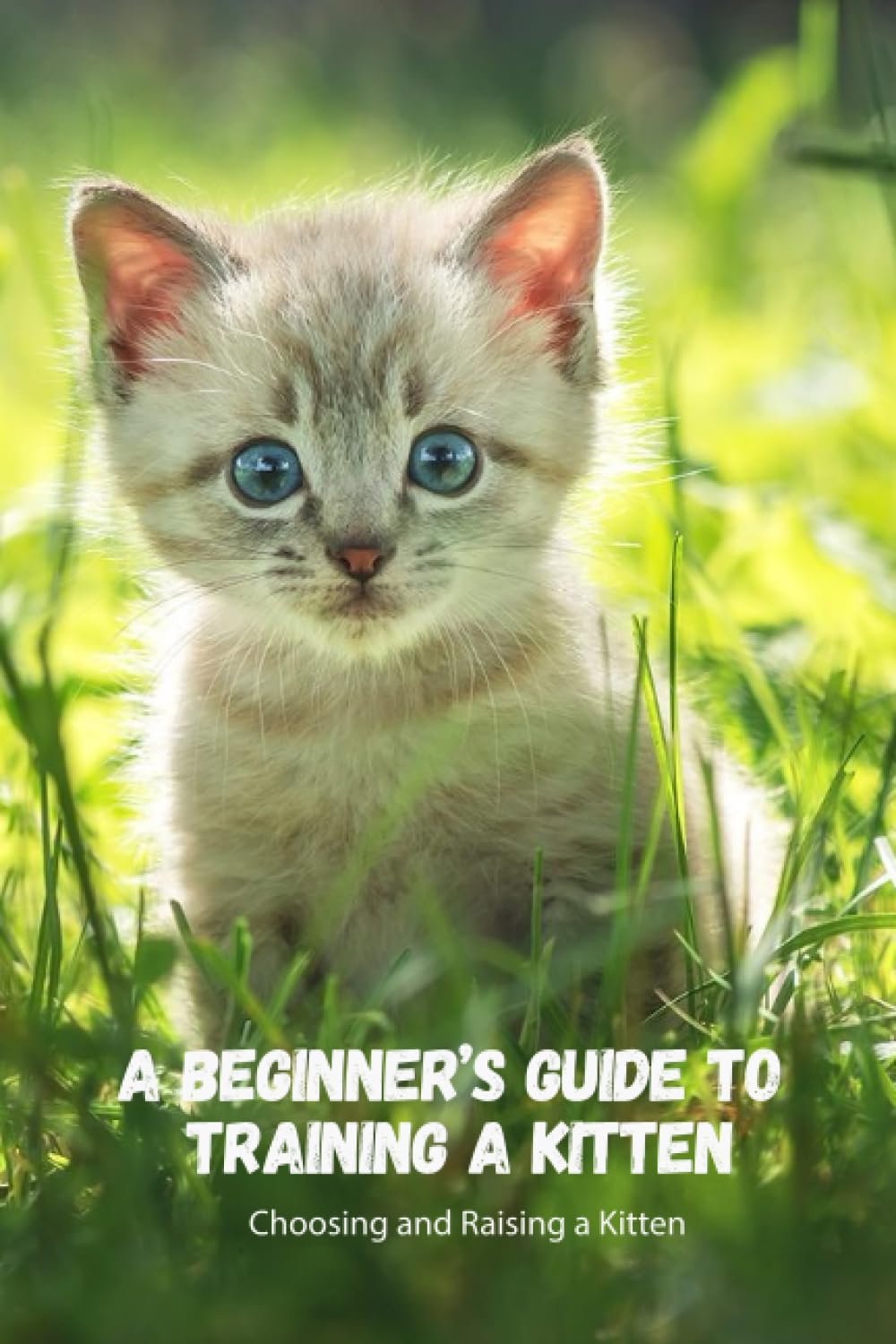 A Beginner's Guide to Training a Kitten: Choosing and Raising a Kitten: A Kitten Training Guide for Beginners