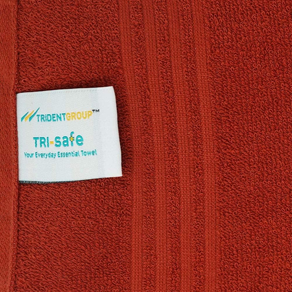 TRIDENT TRISAFE Guest Bath Towels, Highly Absorbent, Quick-Dry, Easy Care, 6 Piece Guest Bath Towels, Rustic Red : Everything Else