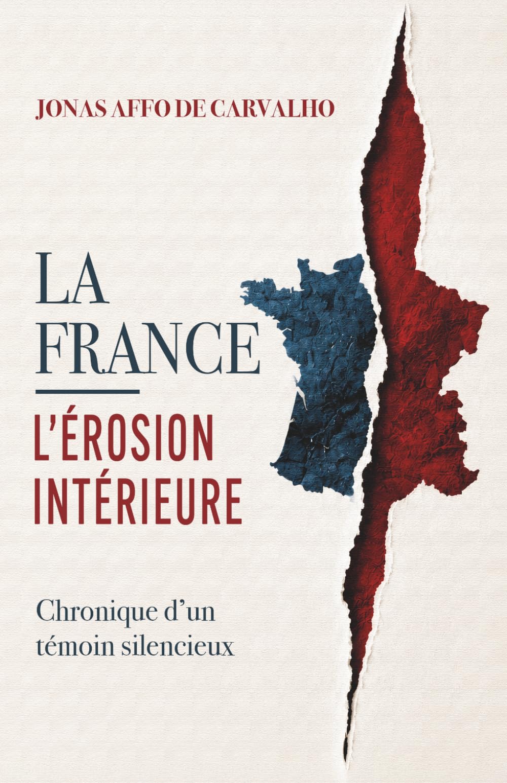 LA FRANCE — L’ÉROSION INTÉRIEURE: Chronique d’un témoin silencieux (France & Destinée)
