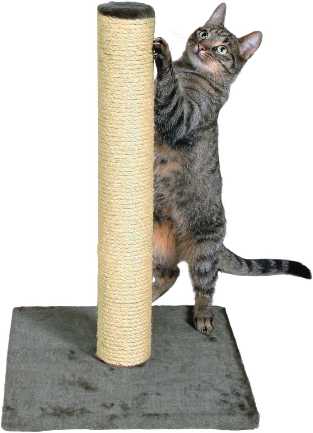 Trixie Pet Products Pet Cat Scratcher Sisal Scratching Post Parla Platinum Gray