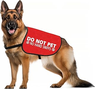 JXGZSO Nervous Anxious Dog Slogan Warning Vest Do Not Pet No Hand Sniffs Dog Jacket Vest (No Hand Sniffs M)