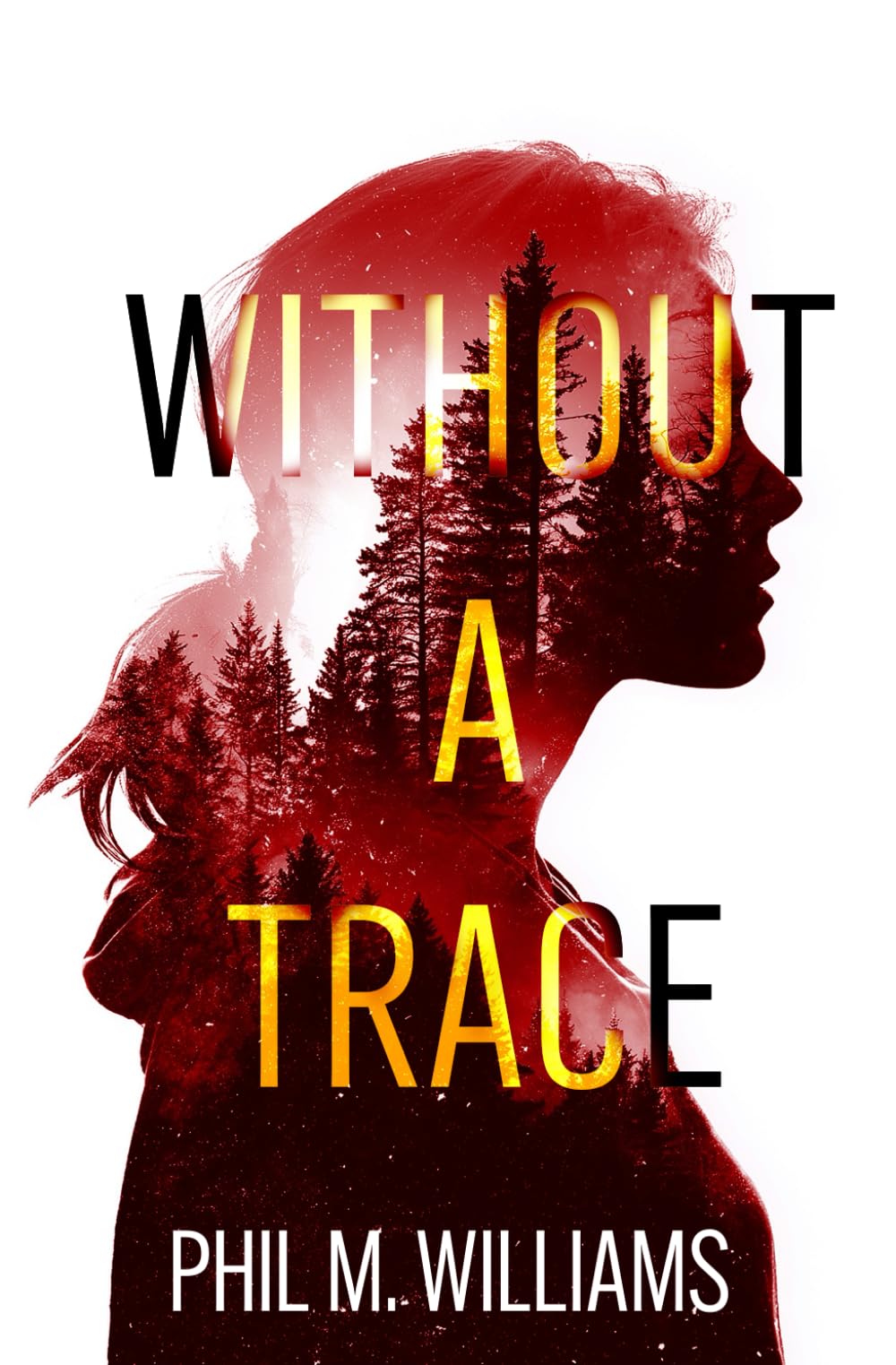 Without a Trace: An Evil Intentions Crime Thriller: 1