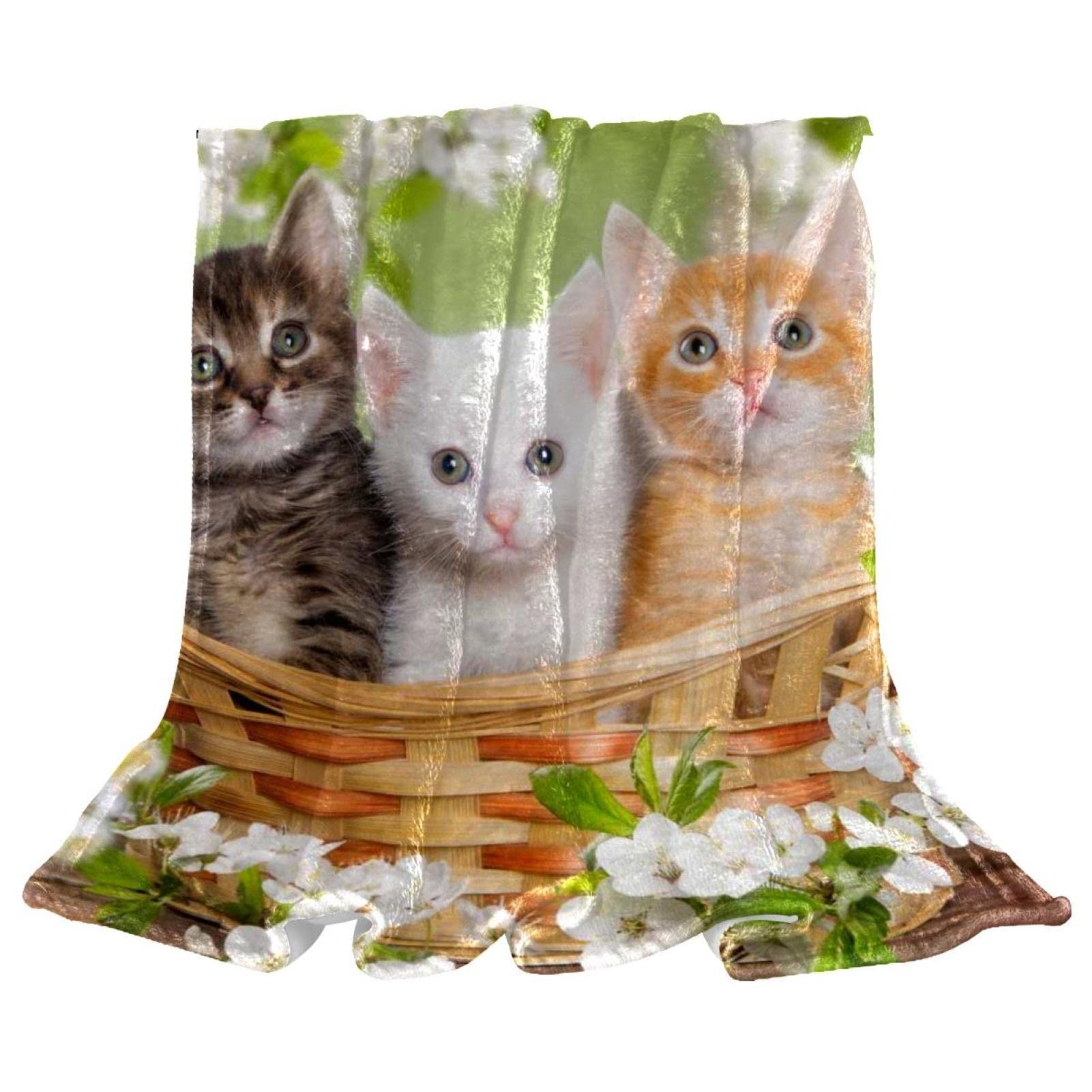 Couverture polaire trois chatons jeté de lit et canapé pour décoration de chambre
