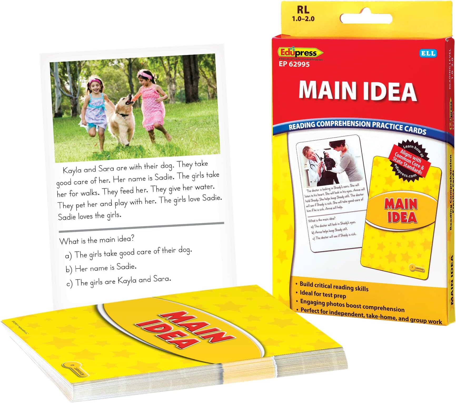 Edupress Reading Comprehension Practice Cards, Main Idea, Yellow Level (EP62995)