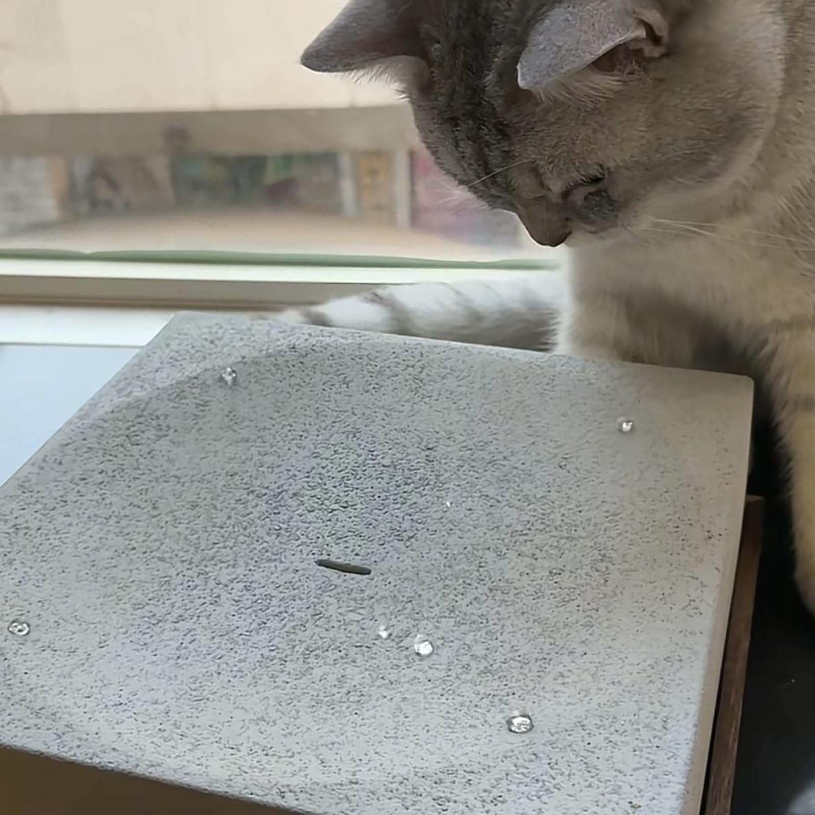Automatisches Katzenspielzeug, elektrischer Katzen-Teaser, Wassertropfen-Design, eingebauter abnehmbarer waschbarer Filter, verstellbarer Durchfluss, Katzen-Teaser für Indoor-Katzen und Hunde