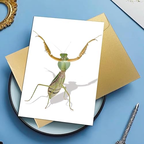 Miniatura 7 de Divertida tarjeta de felicitación de mantis rezando, tarjeta de cumpleaños con arte de Mantis con cable, tarjeta de insectos para niños, amigos,
