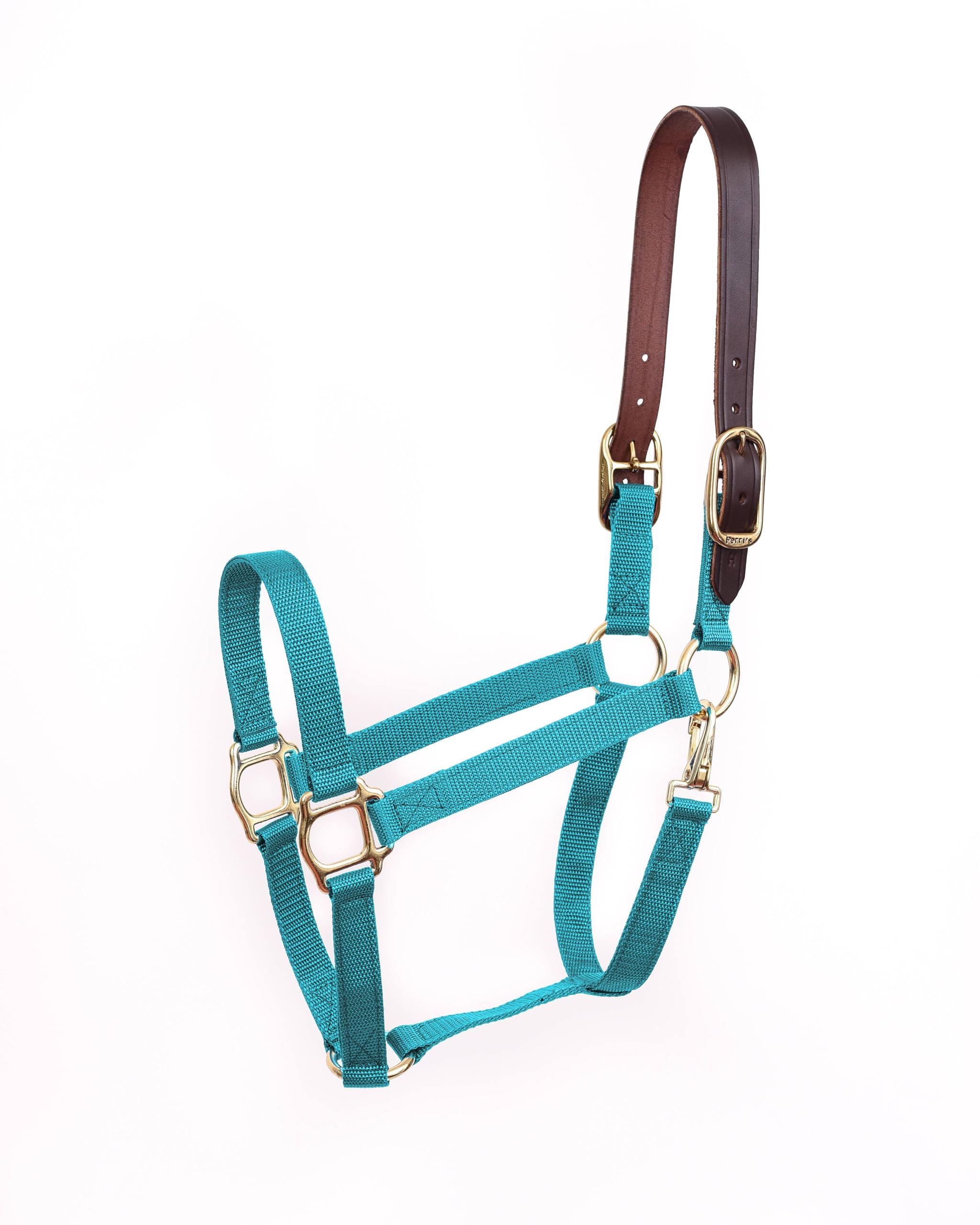 Perris Economy Safety Halter Horse Turquoise