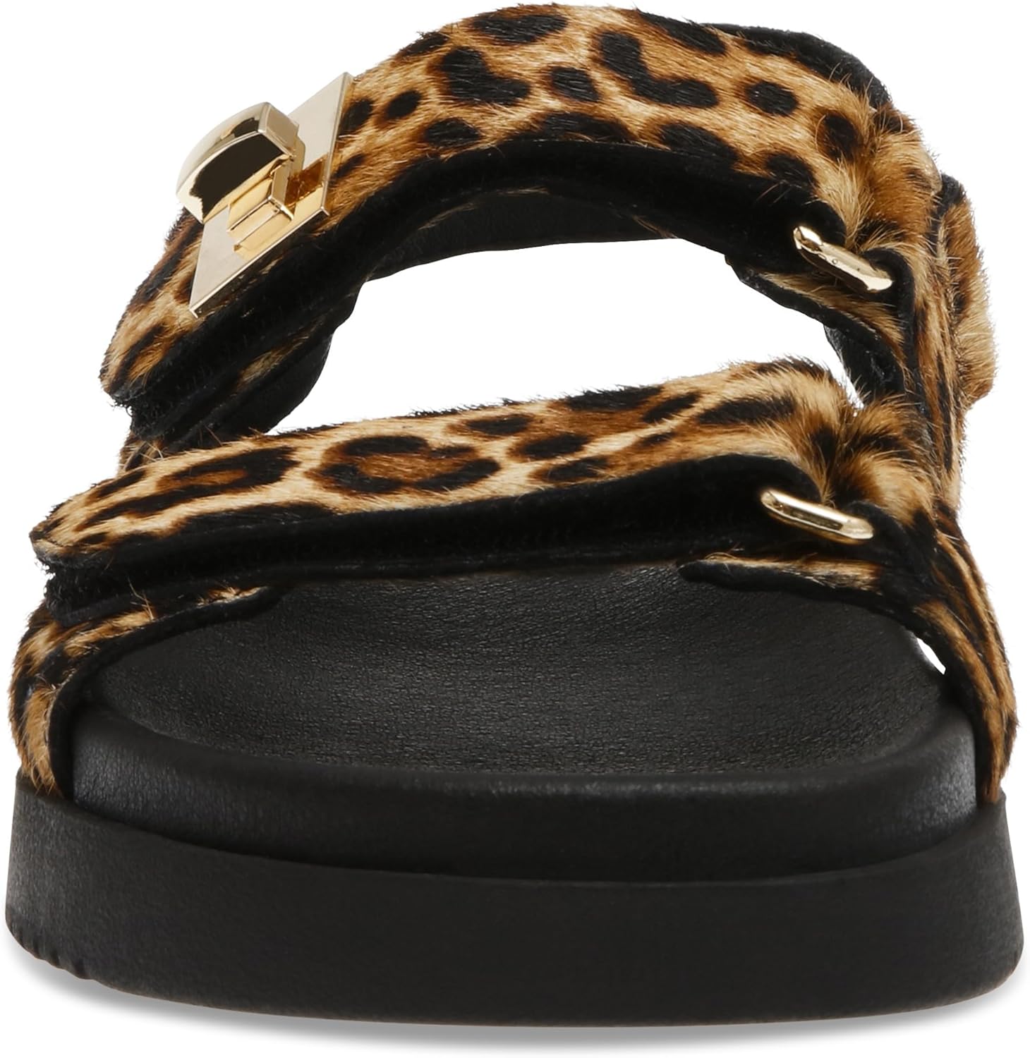 輪島 寿光斎 文箱 松 沈金 未使用 輪島 寿光斎 文箱 松 沈金