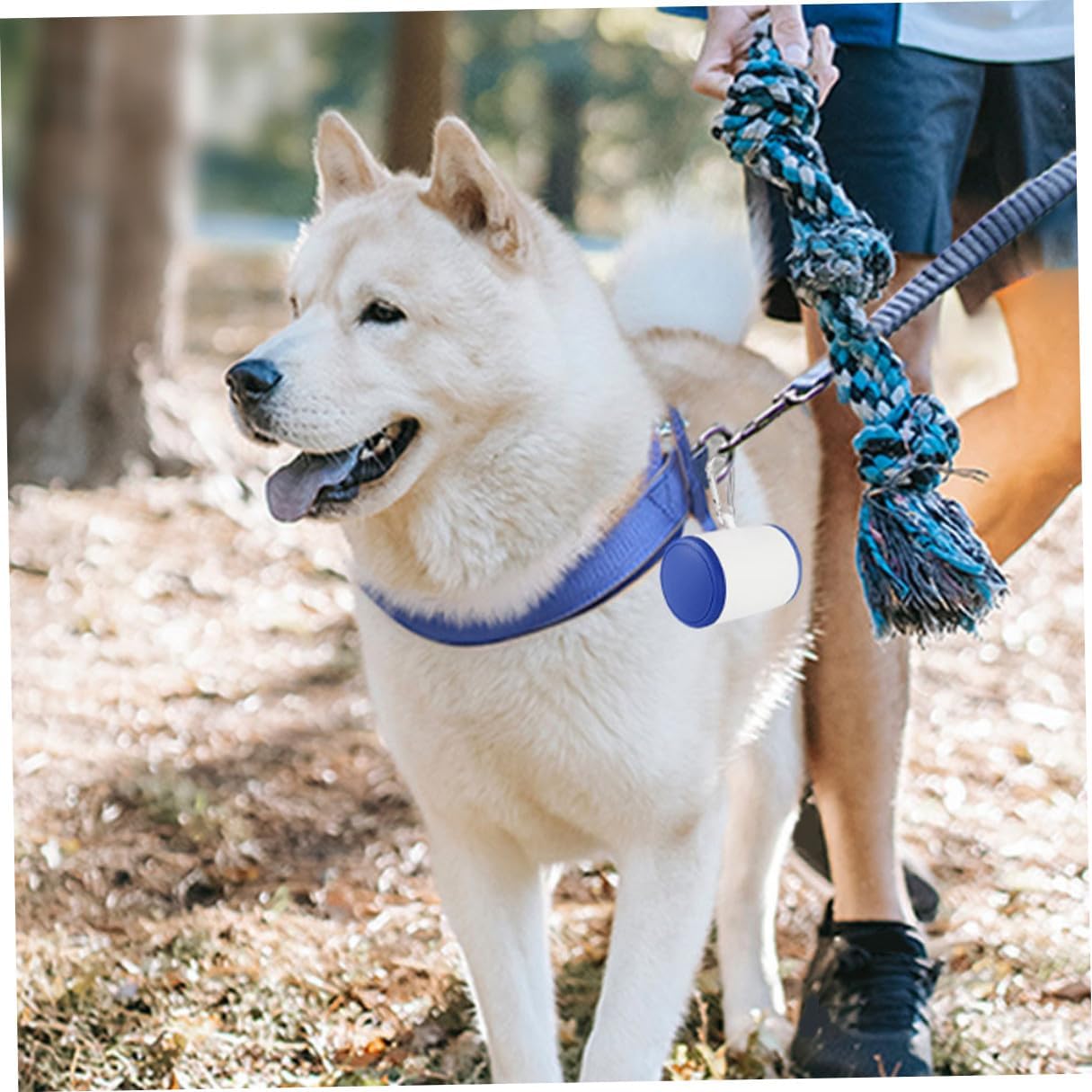 2pcs Dog Treat Pouch Portable Storage Box for Travel Training Pp Blue | Leash Pendant Design, Pants and Belt Suspension, Pet Waste Bag Dispenser