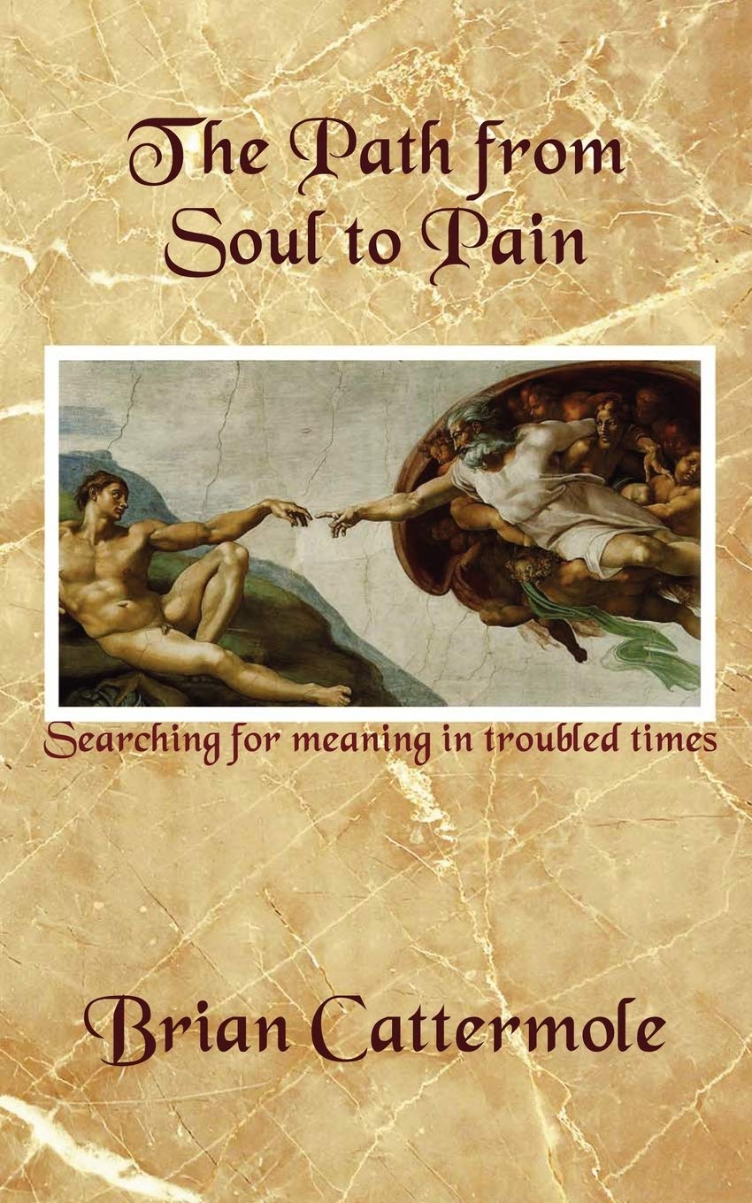 The Path from Soul to Pain: Searching for meaning in troubled times
