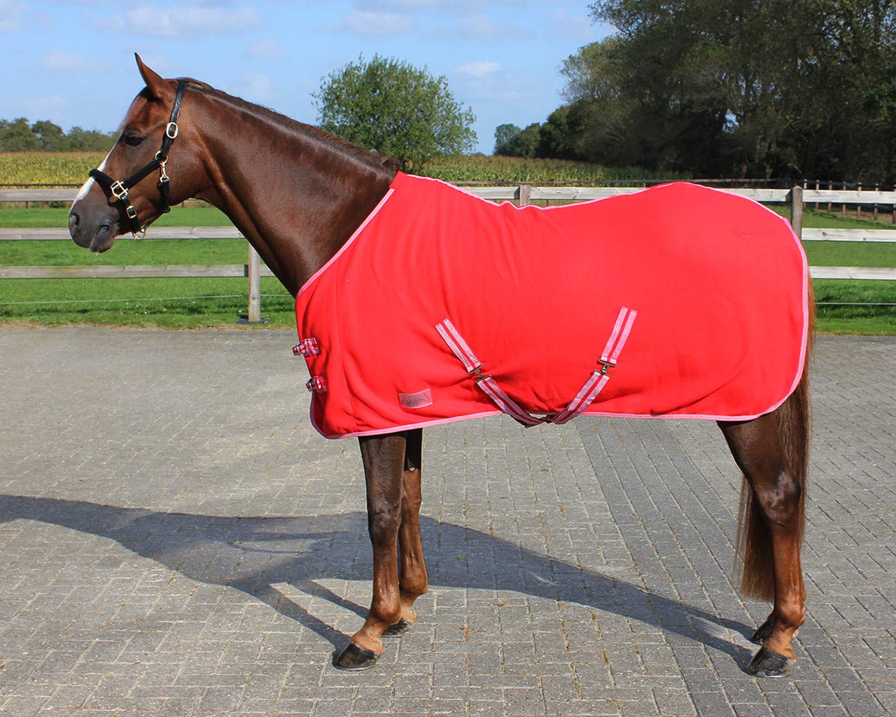 Manta de secado para caballo roja QHP de 175 cm 2