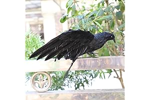 LWINGFLYER Feathered Black Crow Prop 12Inch