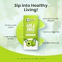 Nutriorg Amla Juice 500 ml | Amla Juice for Hair & Skin | Rich in Vitamin C | Cold-Pressed Indian Gooseberry Juice | Detox, Weight Loss & Immunity Boosting | No Added Sugar | Pure & Natural gallery image