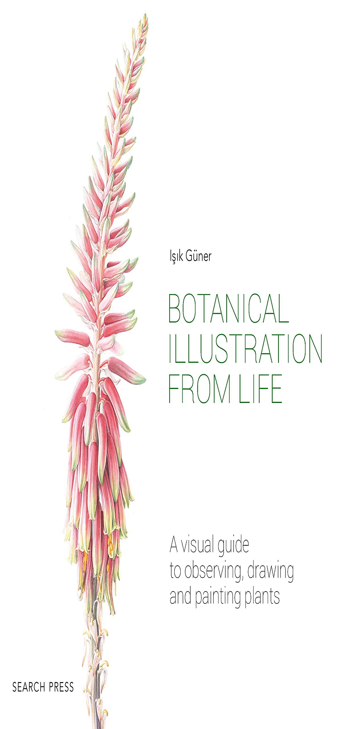 Botanical Illustration from Life: A visual guide to observing, drawing and painting plants