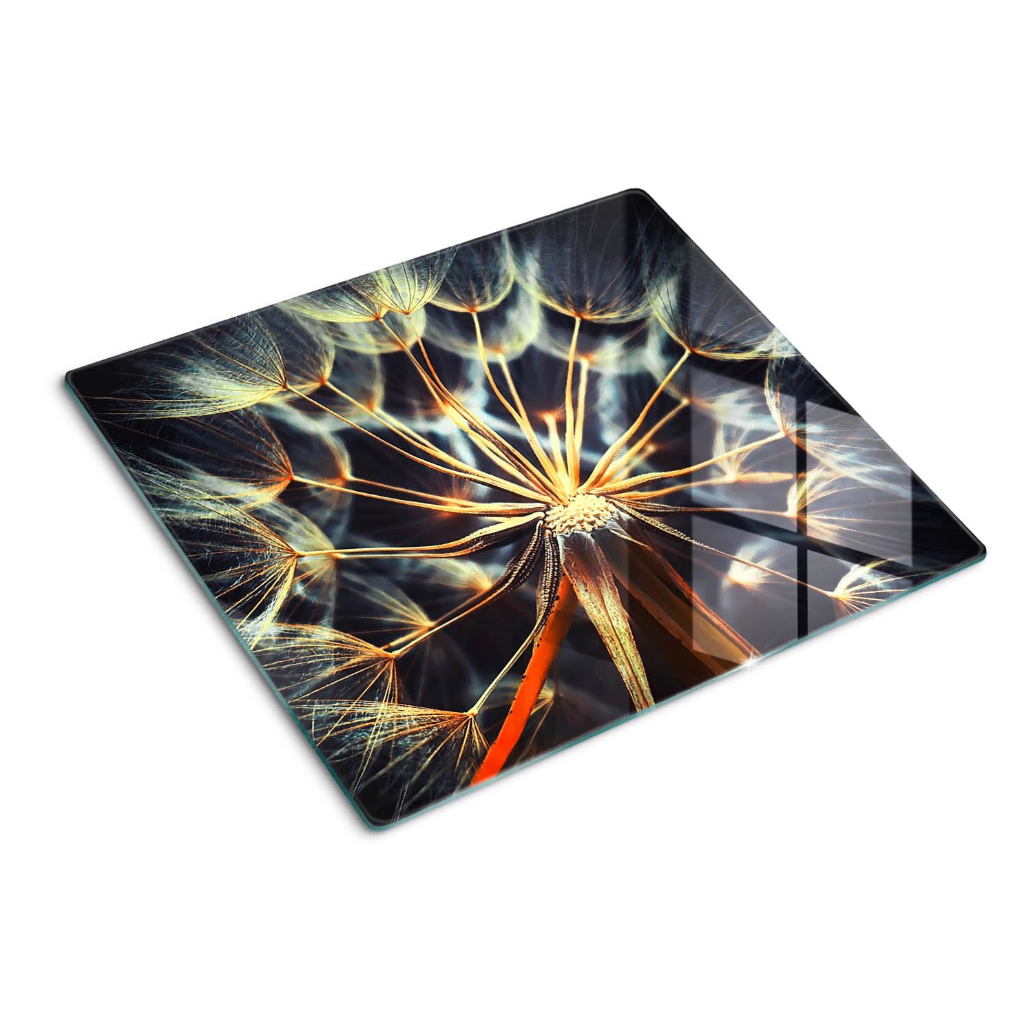 Planche en verre trempé 60x52 cm Pissenlits pour protection de plaques et découpe