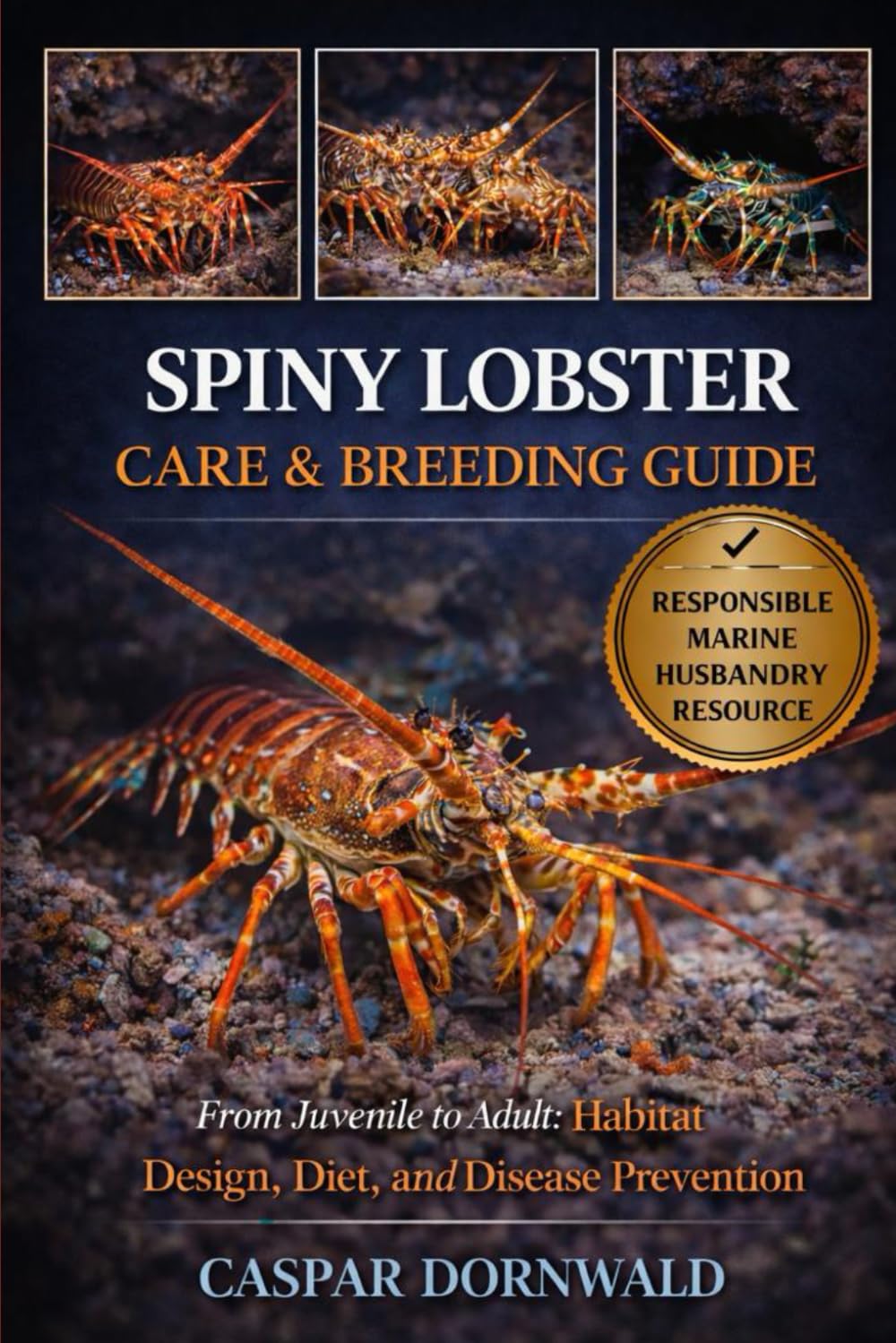 SPINY LOBSTER CARE & BREEDING GUIDE: From Juvenile to Adult: Habitat Design, Diet, and Disease Prevention