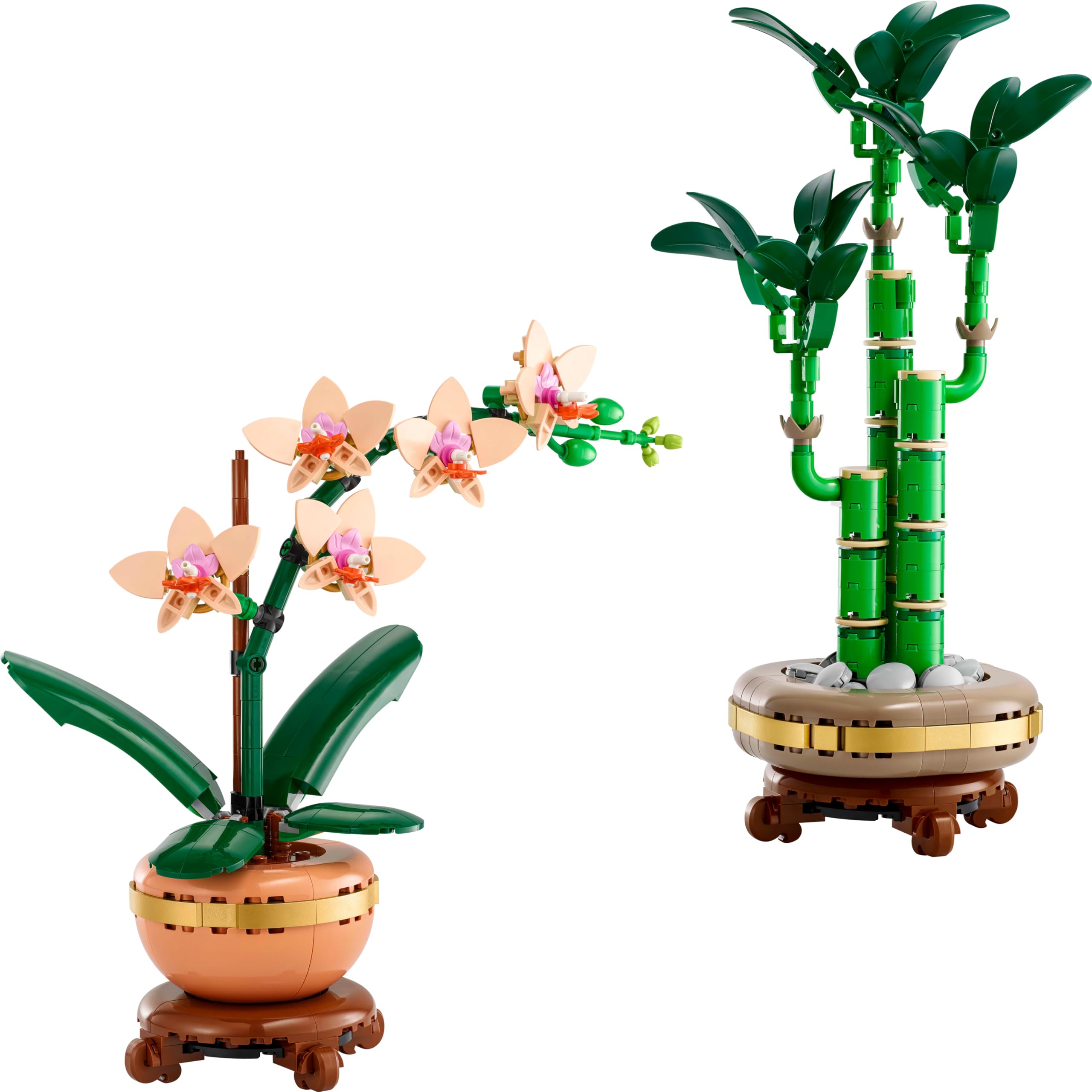 LEGO Pack de Plantes symboliques - Sets de Plantes artificielles pour Adultes L’orchidée Miniature (10343) & Le Bambou de la Chance (10344) - Décoration Maison - Cadeau de St Valentin, Femme ou Homme