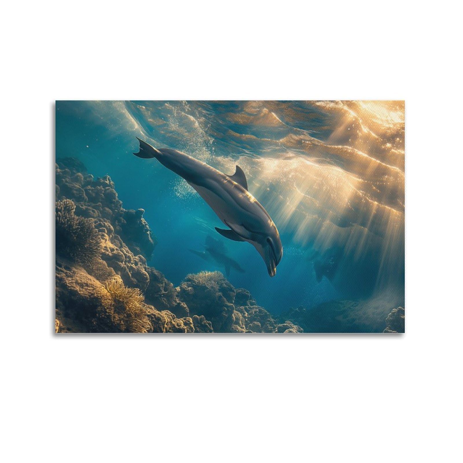 MJZLQN Marine Animal Poster Dolphins Under The Shining Light Poster Decorative Painting Canvas Wall Posters And Art Picture Print Modern Family Bedroom Decor Posters 24x36inch(60x90cm)
