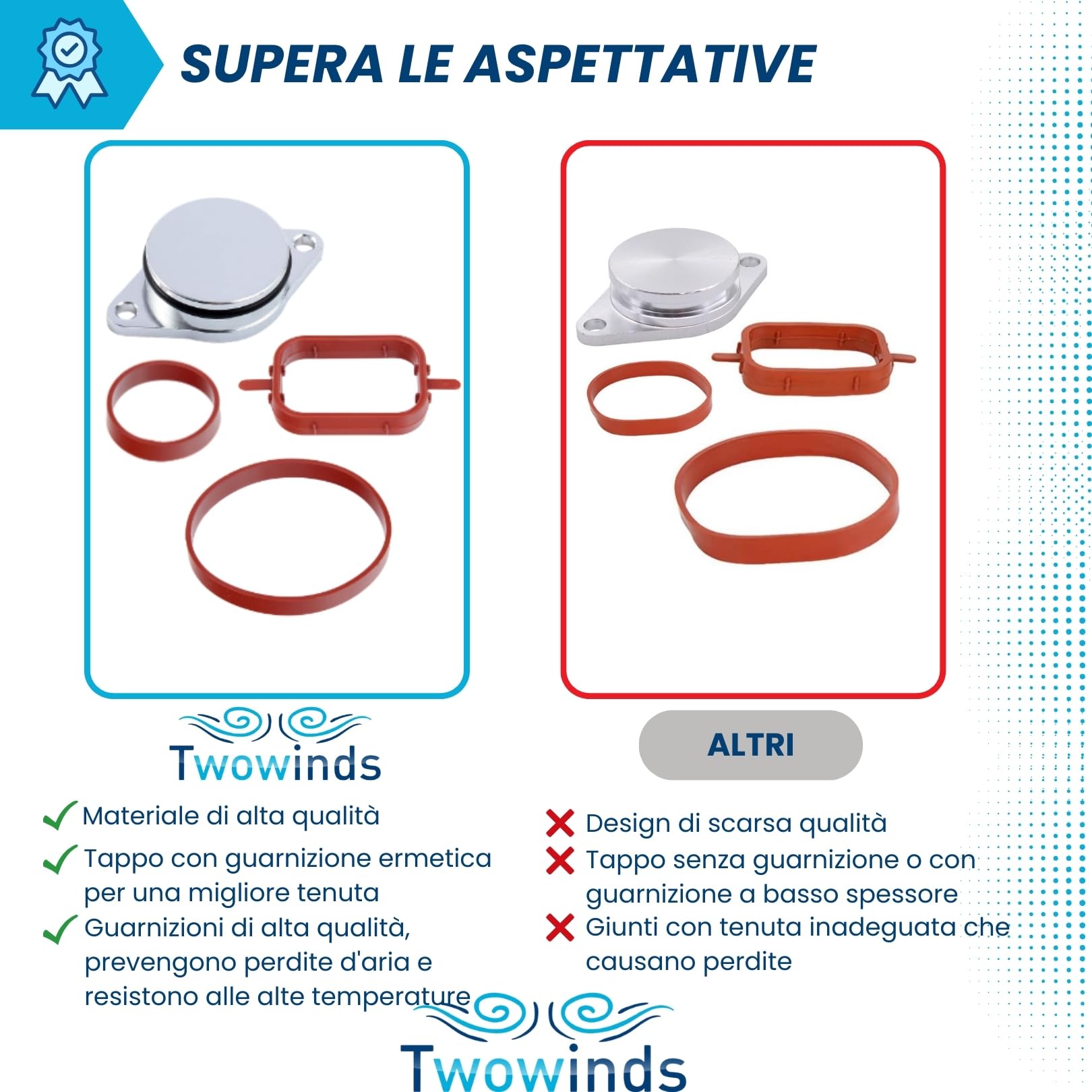 Twowinds - Kit Annullare Farfalle Collettore di Aspirazione (32 mm) Compatibile con BMW 320d 330d 520d 525d 530d 730d - Rimozione Swirl Flap - Eliminazione Valvole Swirl (13 guarnizioni e 6 tappi)