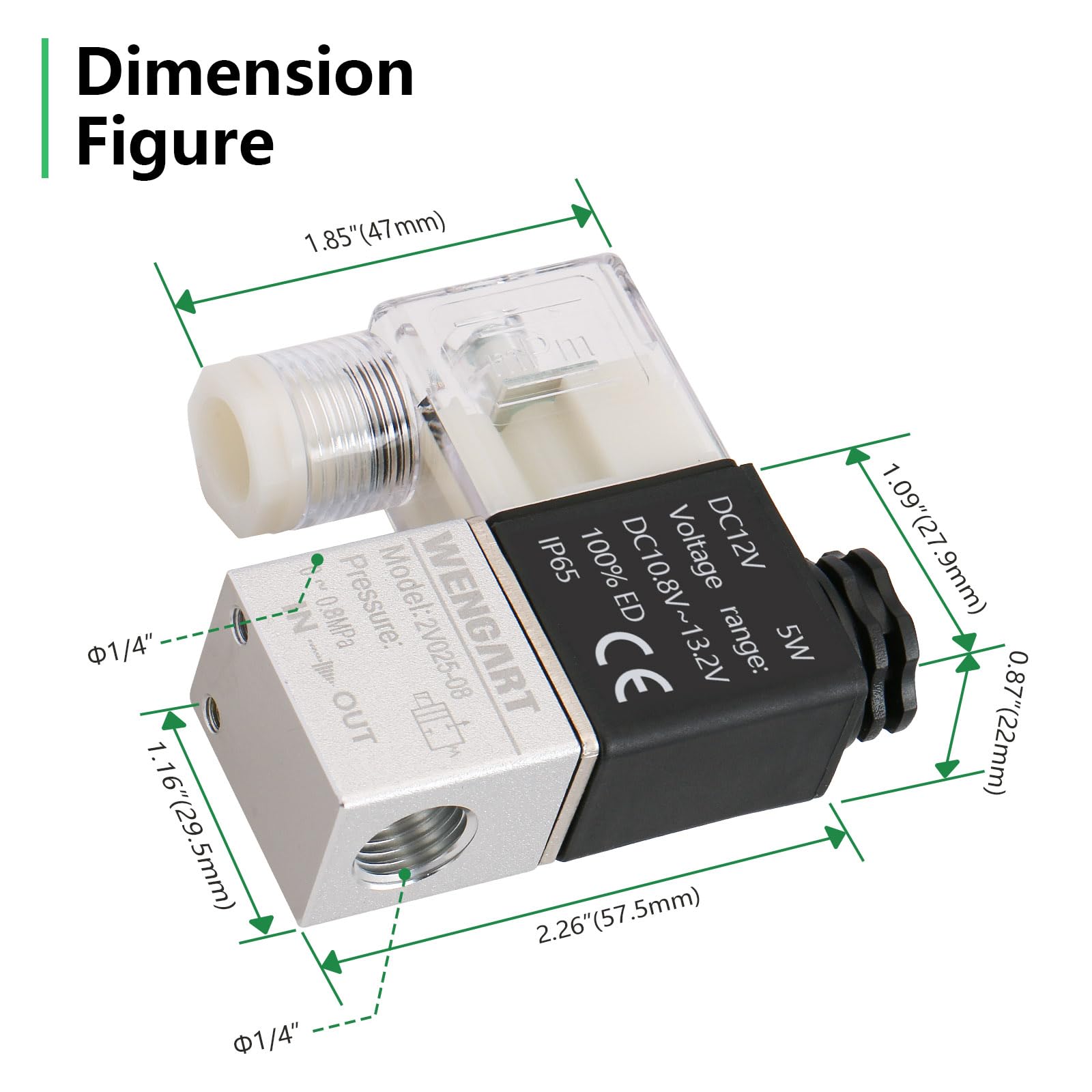 Wengart Pneumatyczny zawór elektromagnetyczny 1/4" PT 2V025-08, pojedyncza cewka, sterowany pilotem, 2-pozycyjny, 2-drożny, dla wydajnego sterowania elektromagnetycznego (gniazdo DC 12 V/DIN)
